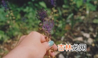 调节内分泌最好的方法,内分泌失调怎样调理