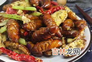 水煮蚕蛹的营养价值,蚕蛹煮几分钟营养价值最高