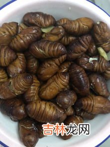 水煮蚕蛹的营养价值,蚕蛹煮几分钟营养价值最高