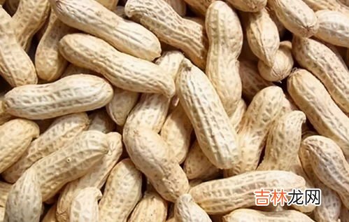 花生瓜子壳属于什么垃圾分类,瓜子壳是什么垃圾分类?