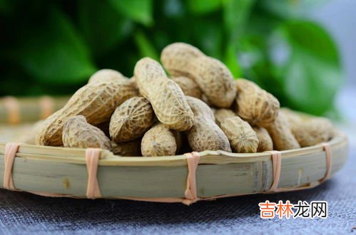 花生瓜子壳属于什么垃圾分类,瓜子壳是什么垃圾分类?