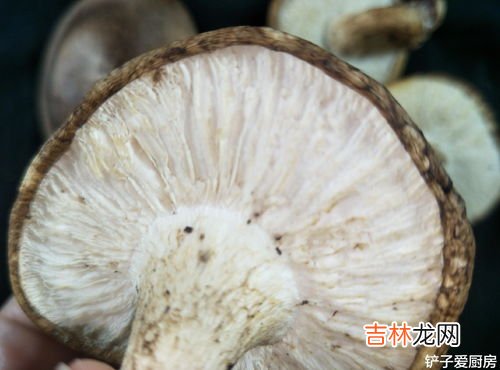 香菇长毛了洗洗还能吃吗,家里买的香菇发霉了还能吃吗？