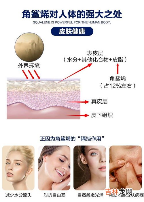 角鲨烯的作用,汤臣倍健角鲨烯软胶囊有什么功效