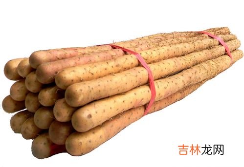 麻山药和铁棍山药区别,铁棍山药和普通山药有什么区别