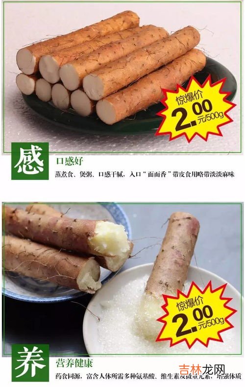 麻山药和铁棍山药区别,铁棍山药和普通山药有什么区别