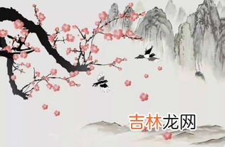 梅花外形特点是什么,梅花的外形特征是什么？