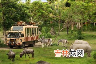 动物园和野生动物园区别,上海动物园和上海野生动物园动物有区别吗？