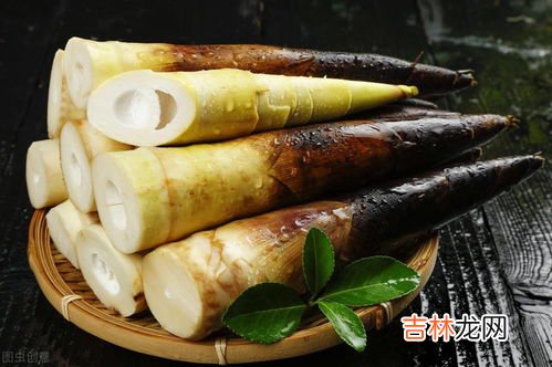 新鲜竹笋怎么冰箱保存技巧,新鲜竹笋怎么保鲜储存 如何保存新鲜竹笋