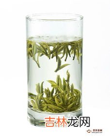 毛峰就是绿茶吗,黄山毛峰是绿茶吗