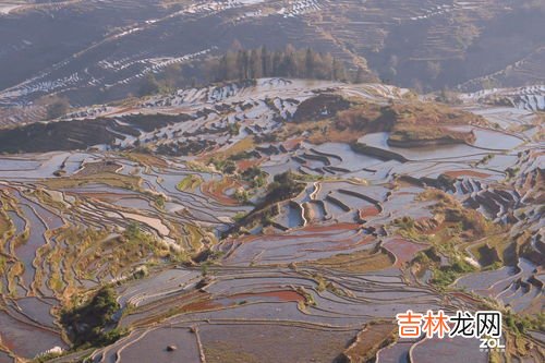 红河哈尼梯田在哪个村,红河哈尼梯田世界文化遗产区5个申遗重点村落之一是？