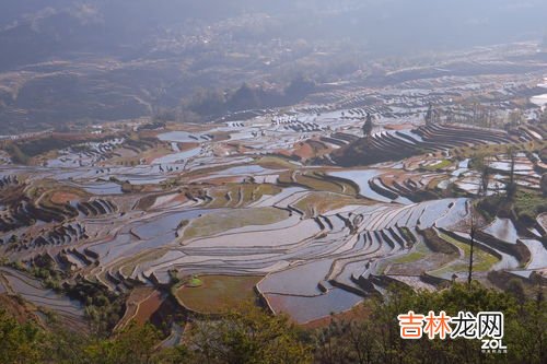 红河哈尼梯田在哪个村,红河哈尼梯田世界文化遗产区5个申遗重点村落之一是？