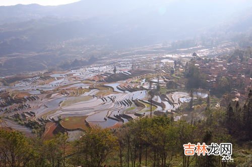 红河哈尼梯田在哪个村,红河哈尼梯田世界文化遗产区5个申遗重点村落之一是？