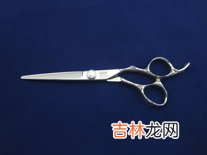 家用锯齿理发剪品牌排行榜,剃头刀电推剪什么牌子好？品牌盘点