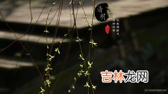 清明节的由来介子推,清明节的由来