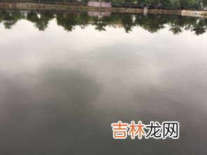 鱼塘水浑浊怎么处理,养鱼池水浑浊怎么处理，养鱼池怎么消毒杀菌