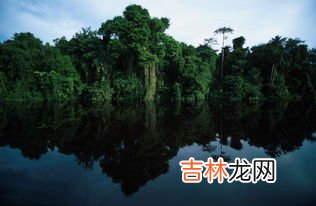 亚马逊河最窄处是多少米,亚马逊河源头河道是怎样的场景，雨林地带主河道宽度是多少？