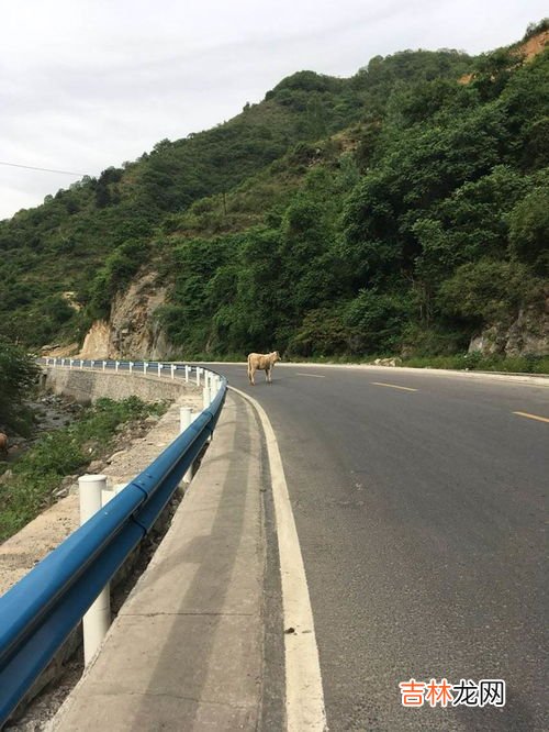 河南是山地多还是平原多,河南属于什么气候类型