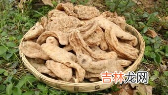 天麻的功效与作用,天麻的功效是什么,主要用于治疗什么疾病?