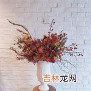 干花需要插在水里吗为什么,麦穗干花需要水养吗