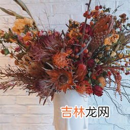 干花需要插在水里吗为什么,麦穗干花需要水养吗