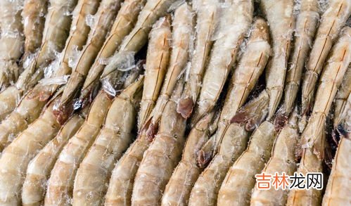 活虾可以直接冷冻吗,活虾直接冷冻还是处理了冷冻