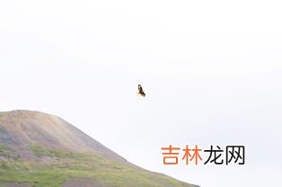 唐古拉山垭口海拔多少,长江唐古拉山脉宜宾山脉的特征