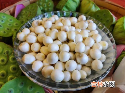 糖煮莲子怎么做,冰糖莲子的做法