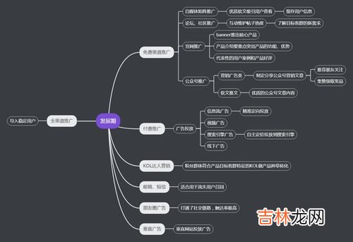 生命周期的成熟阶段,生命周期的四个阶段