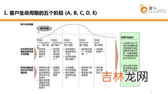 生命周期的成熟阶段,生命周期的四个阶段