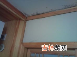 墙体发霉怎样彻底处理,墙体发霉怎样彻底处理