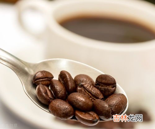 咖啡豆属于豆类吗,咖啡豆属于什么类