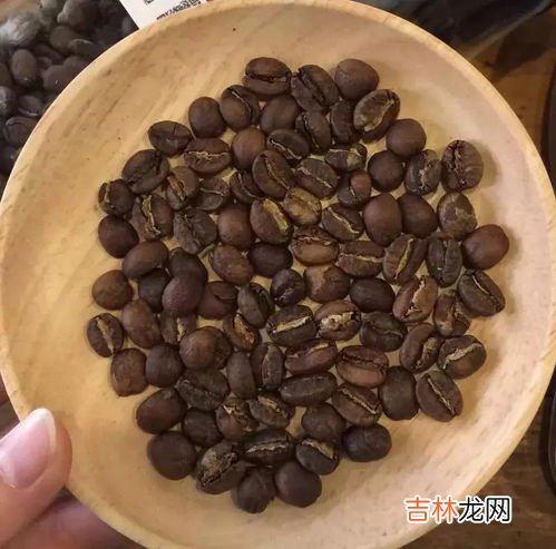咖啡豆属于豆类吗,咖啡豆属于什么类
