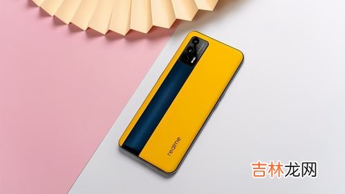 素皮是什么材质,华为Mate 30手机 有2款素皮版本,请问 素皮 是什么意思?