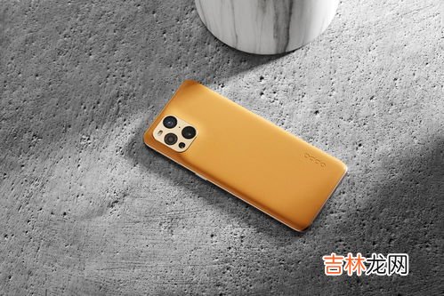 素皮是什么材质,华为Mate 30手机 有2款素皮版本,请问 素皮 是什么意思?