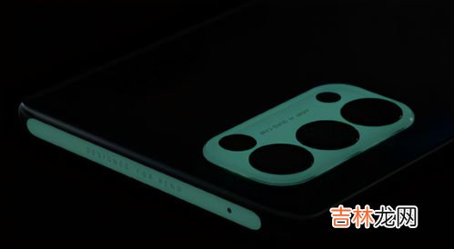 素皮是什么材质,华为Mate 30手机 有2款素皮版本,请问 素皮 是什么意思?