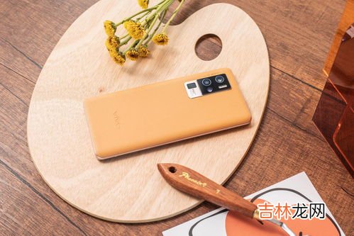 素皮是什么材质,华为Mate 30手机 有2款素皮版本,请问 素皮 是什么意思?