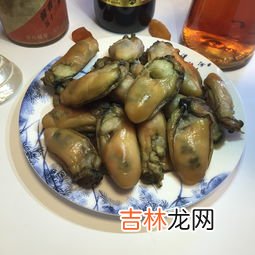 牡蛎精杞片怎么吃,牡蛎精杞片成分