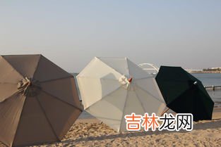 太阳伞可以当雨伞用吗,太阳伞能当雨伞用吗？