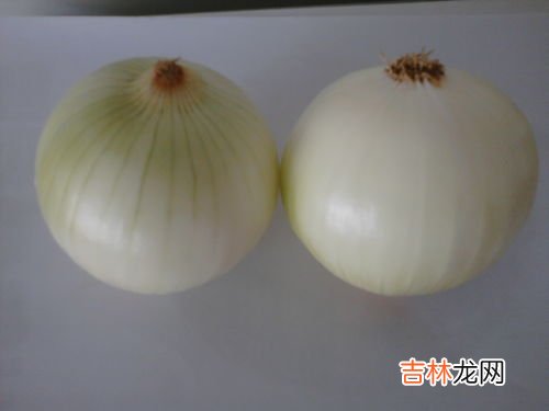 白洋葱和黄洋葱的区别有哪些,洋葱有哪几种有什么区别?什么样的辣和不辣