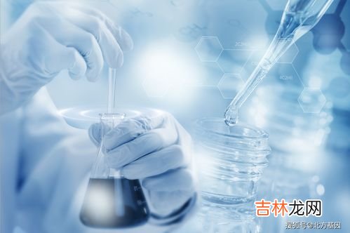 北方基因基因苹果干细胞效果怎么样,北方基因基因苹果干细胞的价格