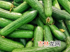 谁把黄瓜带到中原的,黄瓜是谁从西域带回来的蚂蚁庄园