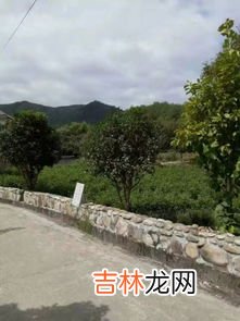 大青山在哪个省哪个市,大青山的介绍