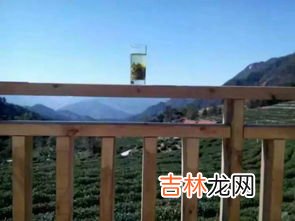 大青山在哪个省哪个市,大青山的介绍