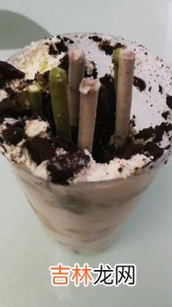 老奶油主要是指什么奶油,老奶油和动物奶油的区别
