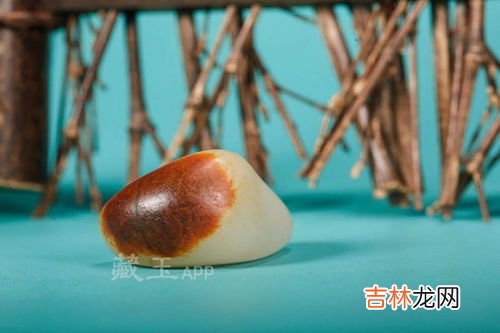 苏子籽的功效与作用及禁忌,炒苏子的功效与作用及禁忌分别是什么