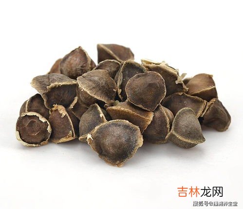 苏子籽的功效与作用及禁忌,炒苏子的功效与作用及禁忌分别是什么