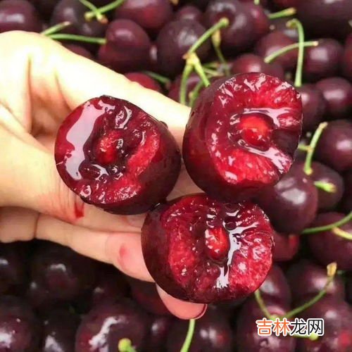 5斤车厘子大概多少个,5斤车厘子大概多少个？