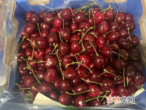 5斤车厘子大概多少个,5斤车厘子大概多少个？
