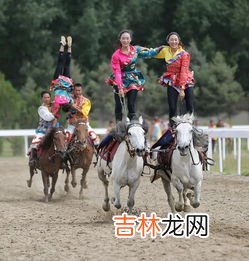 雪顿节属于哪个民族的,雪顿节是哪个民族的节日风俗