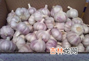 大蒜发霉还能吃吗,新蒜外皮发霉了还能吃吗